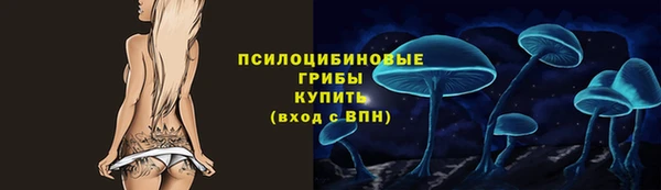 дурь Алексин