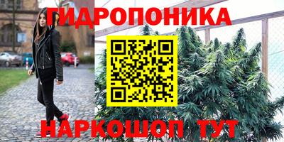гидра Славянск-на-Кубани