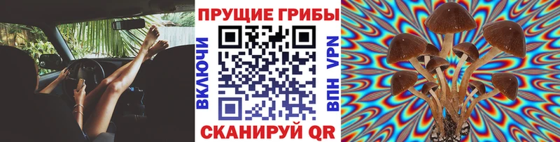 blacksprut онион Сафоново Псилоцибиновые грибы прущие грибы