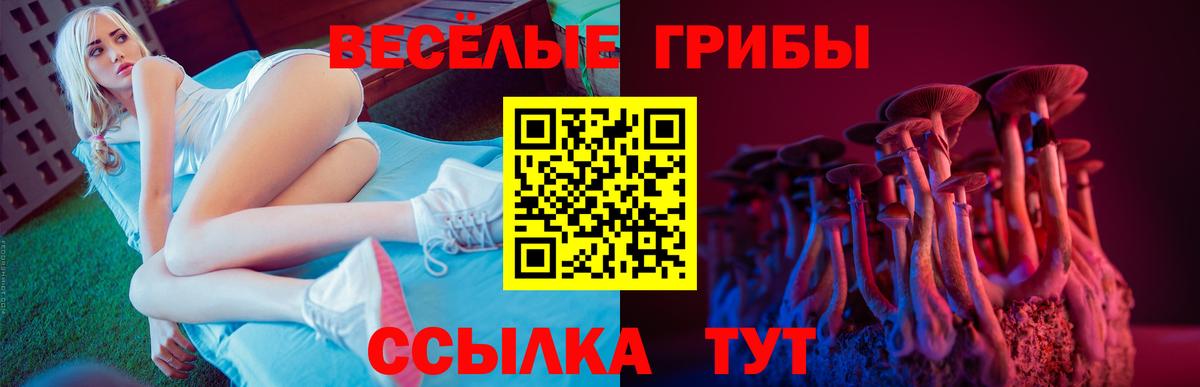 Галлюциногенные грибы Cubensis Сафоново