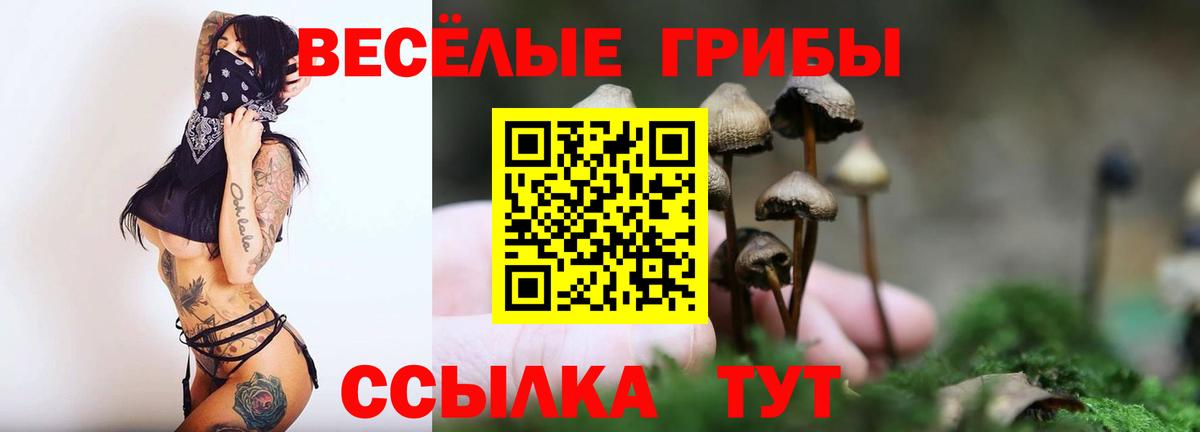 Сафоново  Галлюциногенные грибы мицелий  Вход с VPN 